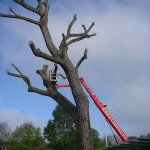 Ein 26m Hubsteiger gewährleistet sichere Arbeitsabläufe