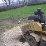 Grundstück schonende Bearbeitung bei der Entfernung von Baumstubben