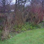 Bei Ankunft eine Wildnis