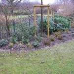 nach Rohdung und Neubepflanzung